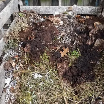 Composting Leaves & Coffee Grounds in the Winter: Expert Tips