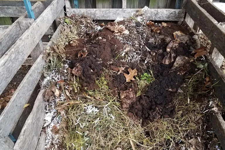 Composting Leaves & Coffee Grounds in the Winter: Expert Tips