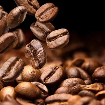 10 Best Coffee Beans in Canada: 2026 Reviews & Top Picks