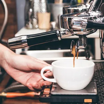 Strange Brew Coffee Controversy Explained: The True Story