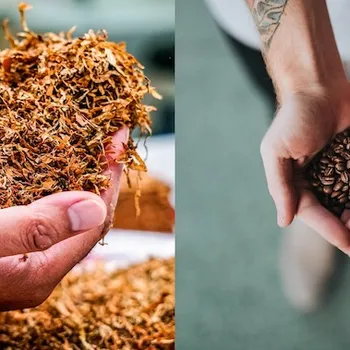 Nicotine vs Coffee: Detailed Comparison & Main Differences