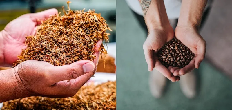 ceylon tobacco company share price CTC.N0000 Stock Price and Chart — CSELK:CTC.N0000 — TradingView