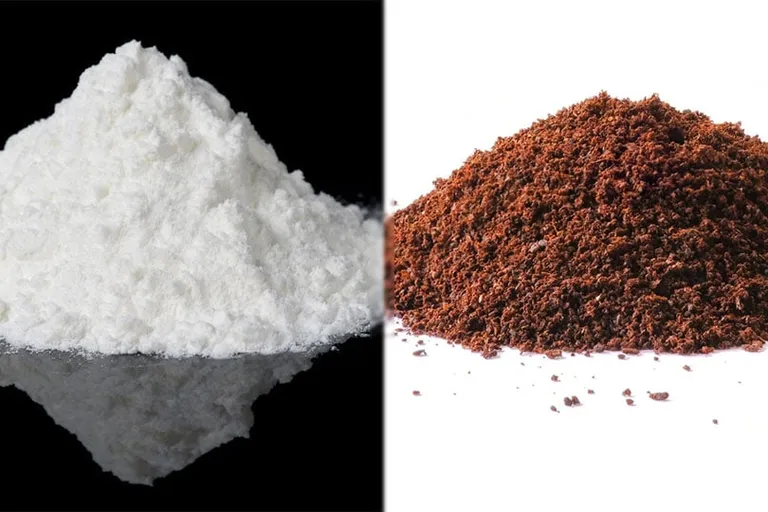 Theobromine vs Caffeine: A Detailed Comparison