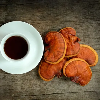12 Ganoderma Coffee Benefits That Will Amaze You!