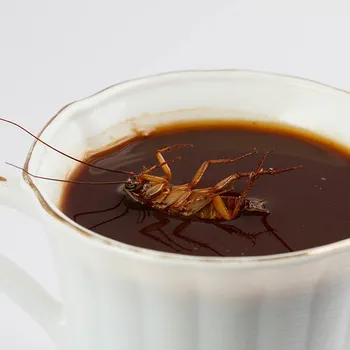 Does Ground Coffee Really Have Cockroaches in It? The Facts & How To Avoid It