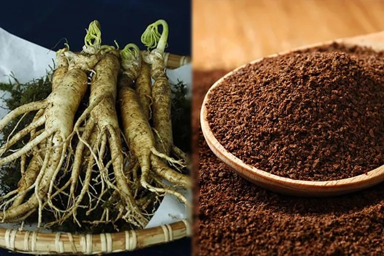 Ginseng vs Caffeine: The Differences Explained