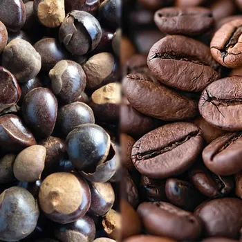 Guarana vs. Caffeine: Comparing the Effects on Your Body & Mind