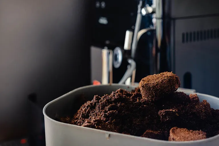 Can You Put Coffee Grounds Down the Garbage Disposal? Alternative Uses