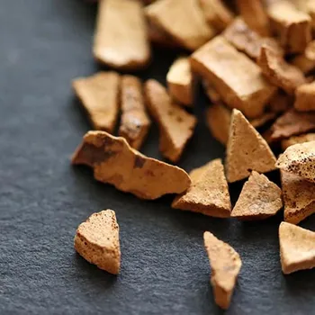 Is Chicory Coffee Good for You? Health Benefits & Side Effects