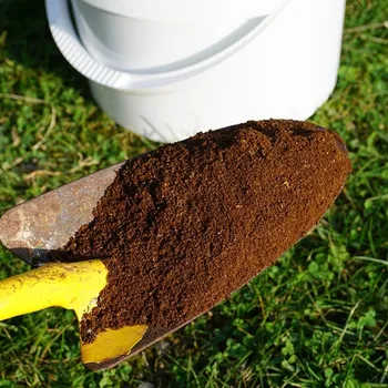 Are Coffee Grounds Good for Grass? Pros & Cons
