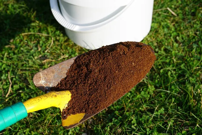 Are Coffee Grounds Good for Grass? Pros & Cons