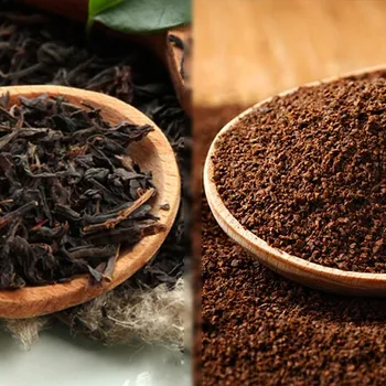 Theacrine vs Caffeine: The Different Effects the Body & Mind
