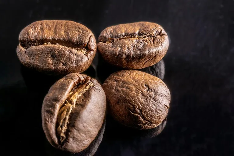 What Is First Crack in Coffee Roasting? Info & Expert Tips!