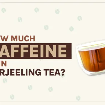 How Much Caffeine Is in Darjeeling? 2026 Breakdown