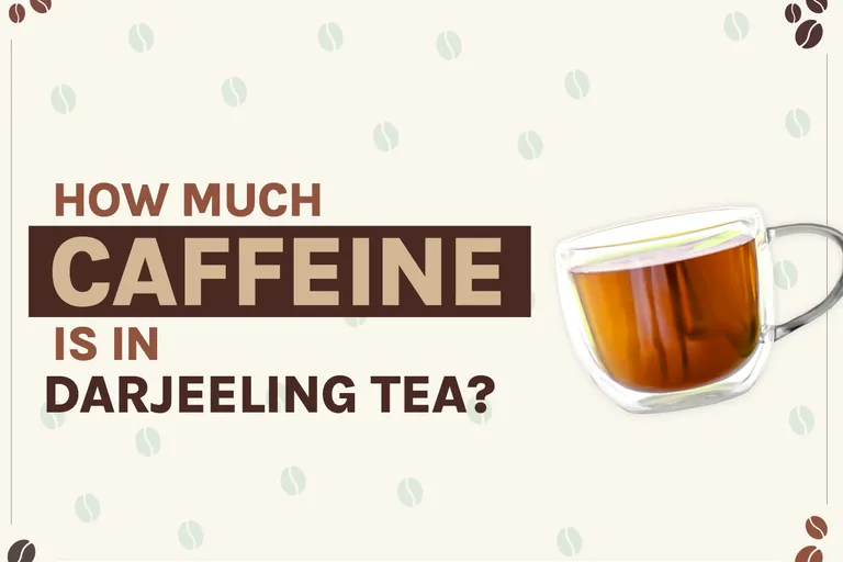 How Much Caffeine Is in Darjeeling? 2026 Breakdown