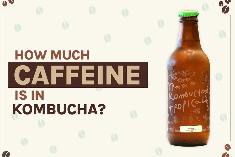 How Much Caffeine Is in Kombucha? Overview & Breakdown