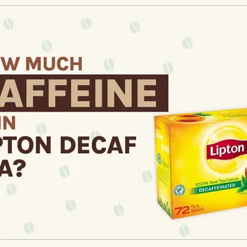 How Much Caffeine Is in Lipton Decaf Tea? 2026 Breakdown