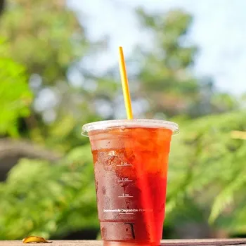 10 Best Teas at Dutch Bros in 2026: Ranked & Reviewed!