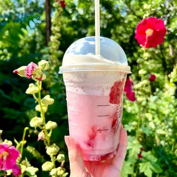 10 Best Summer Drinks at Starbucks in 2026: Ranked & Reviewed
