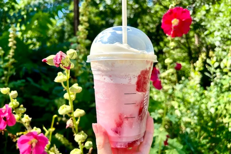 10 Best Summer Drinks at Starbucks in 2026: Ranked & Reviewed
