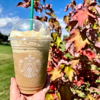 7 Best Halloween Starbucks Drinks: Spooky Treats