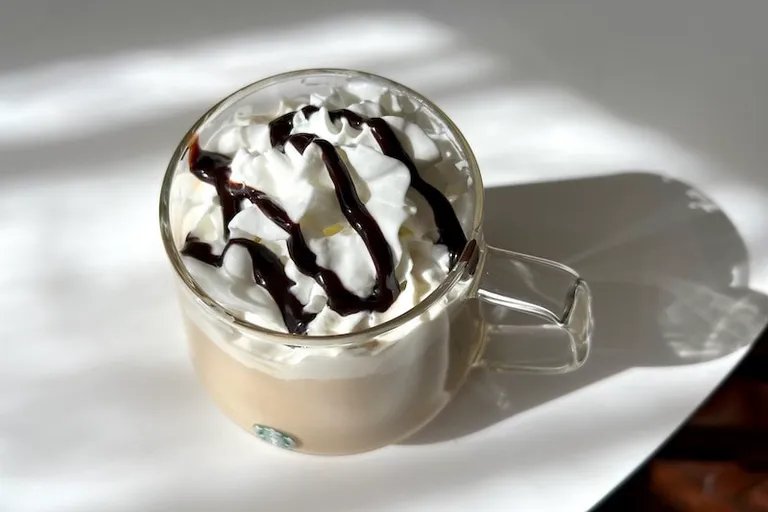 11 Best Starbucks Hot Chocolate Drinks in 2026: Ranked & Reviewed