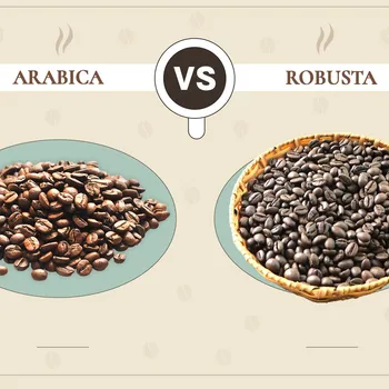 Arabica vs Robusta Coffee Beans: The Differences (With Pictures)