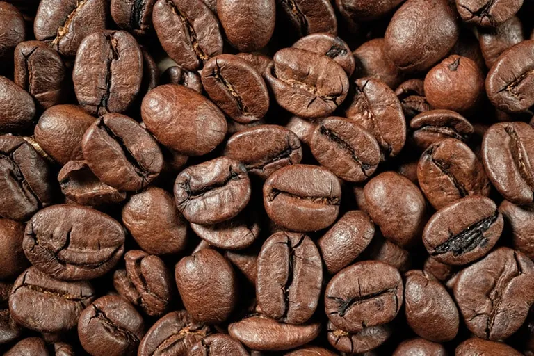 Robusta Coffee Beans: Facts, Flavors & Pictures