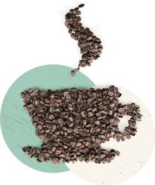 Coffee beans and cup illustration