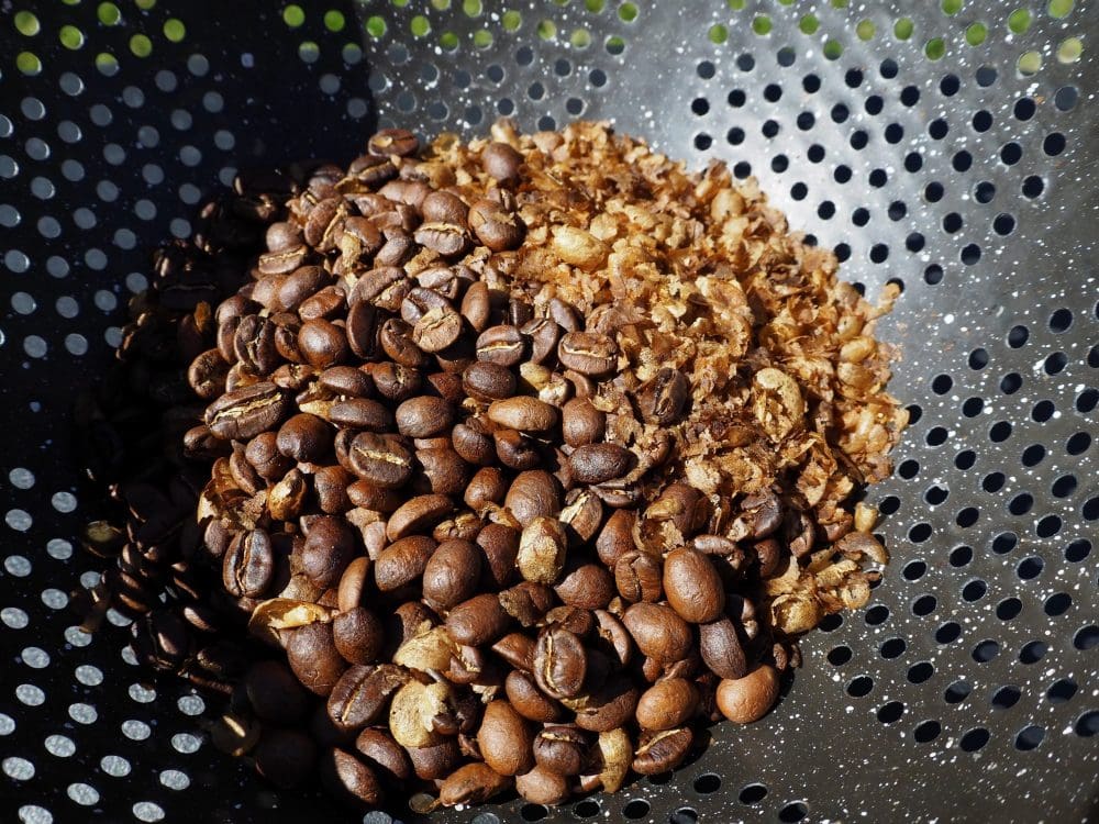 Roasted beans and chaff in colander