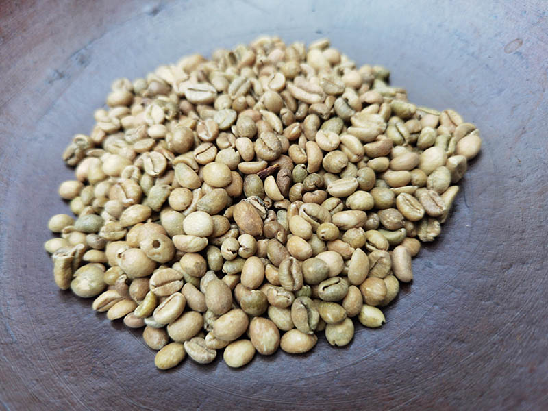Roasting Excelsa beans