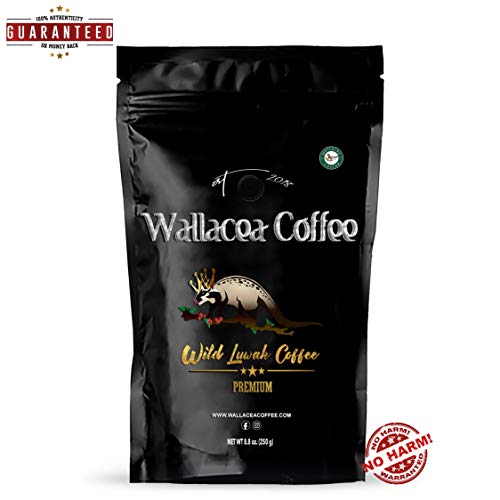Wallacea Coffee Wild Kopi Luwak Coffee Beans, Gayo Sumatra Indonesia