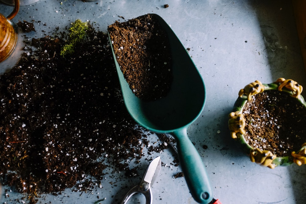 coffee grounds compost