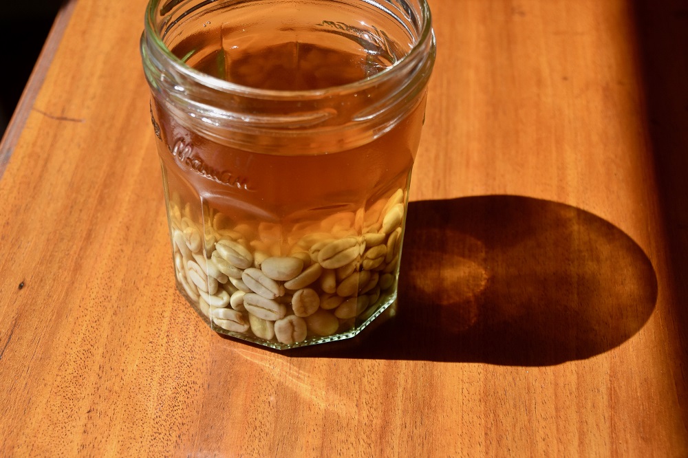 green coffee