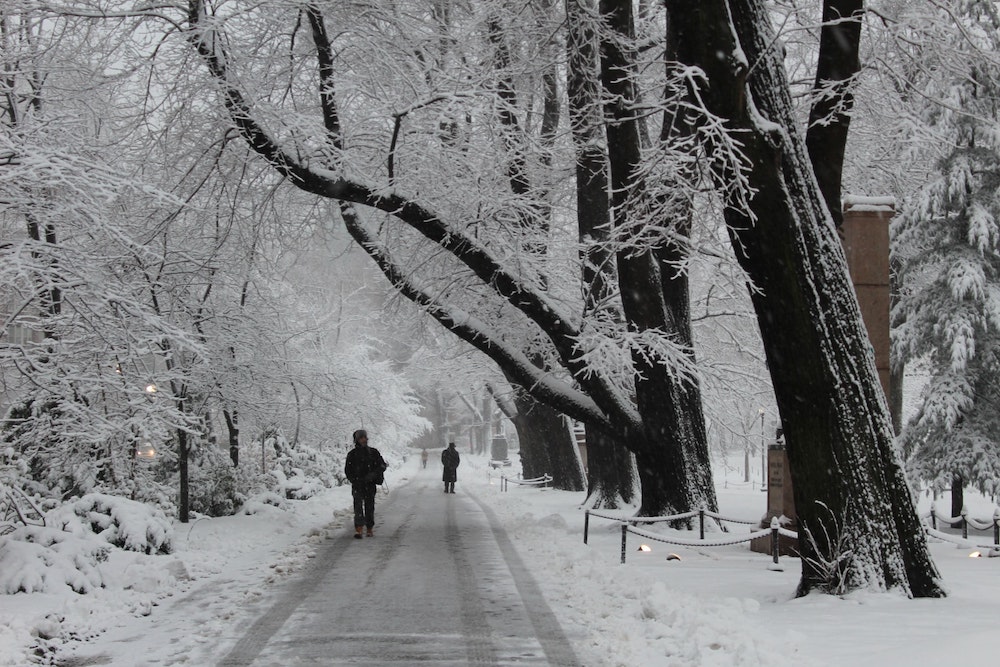 snowy sidewalk