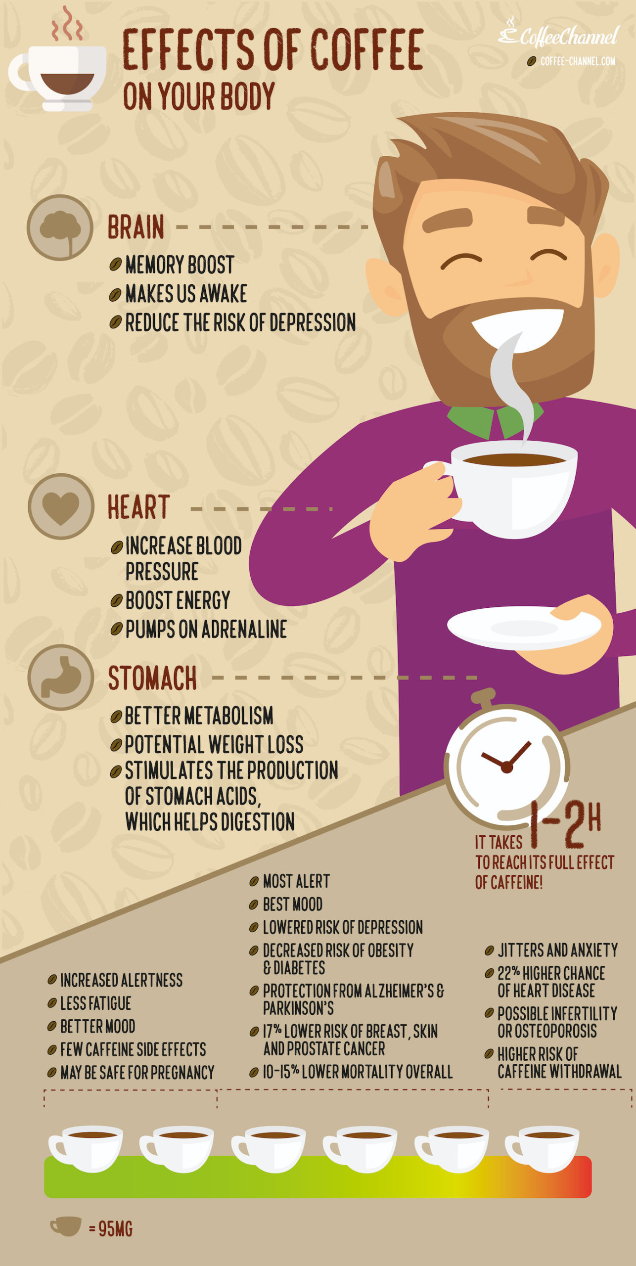 25 Surprising Effects Coffee Has on Your Body With Infographic Corner Coffee Store