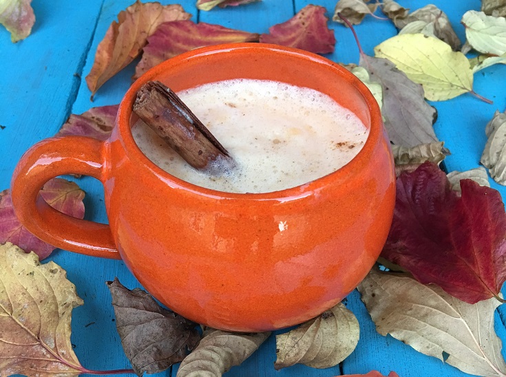 Vegan PSL