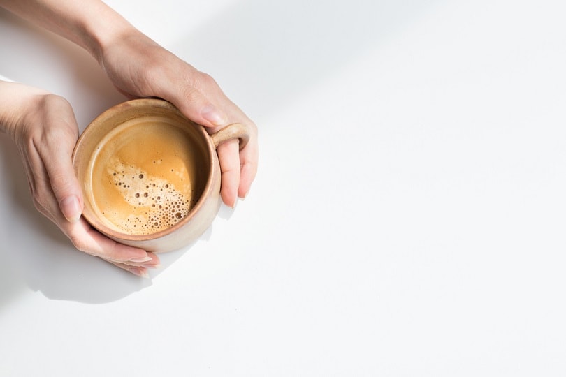 Mug with chicory and oat milk_nata shilo com_shutterstock