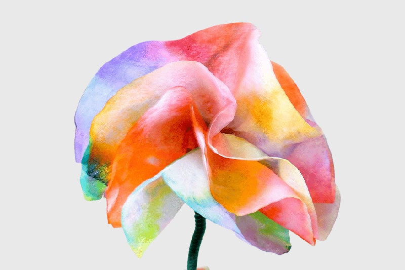 diy coffee filter flowers