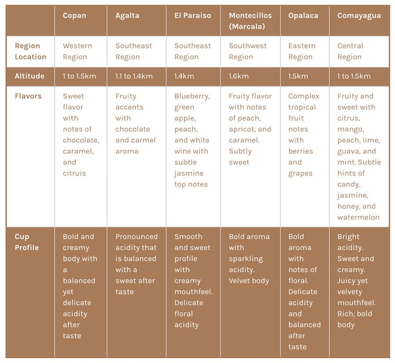 Honduran coffee region flavors profile information
