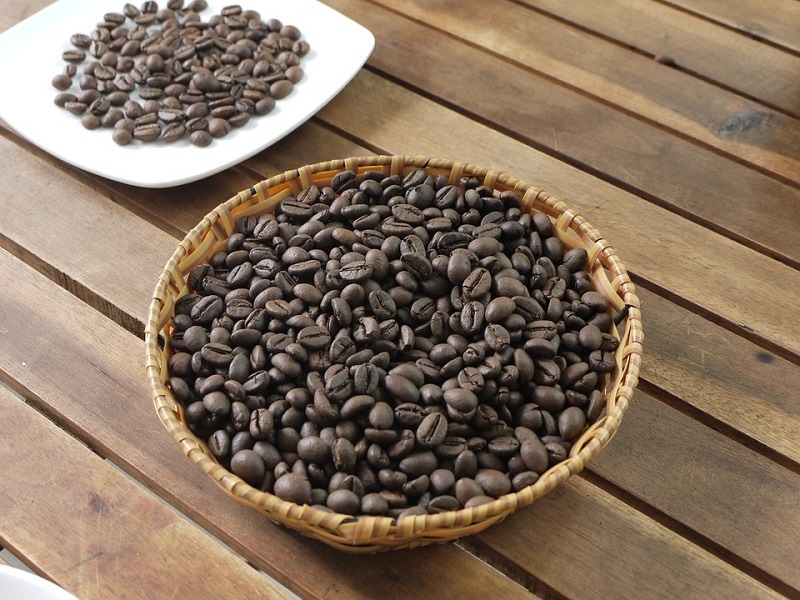 robusta coffee