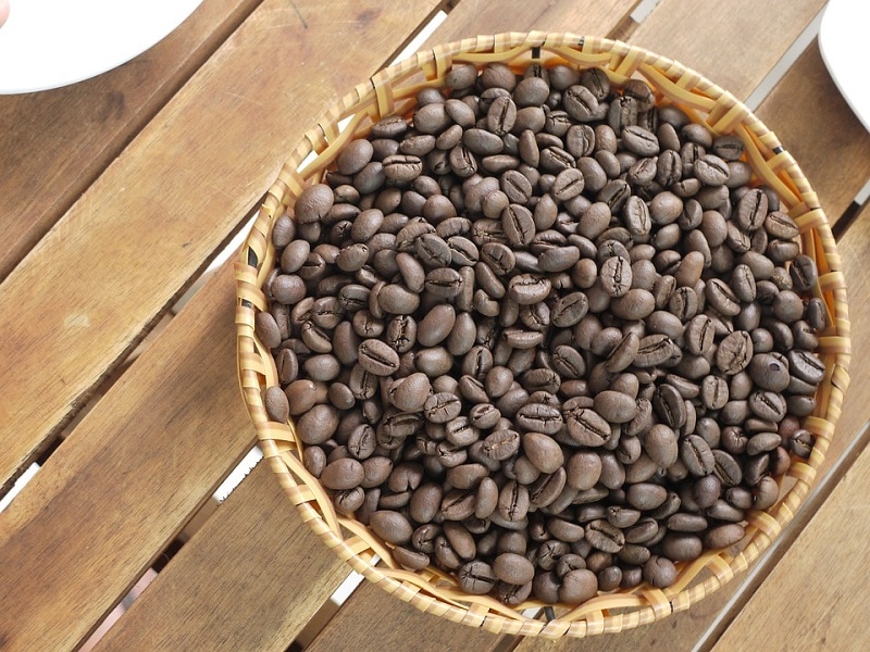 robusta