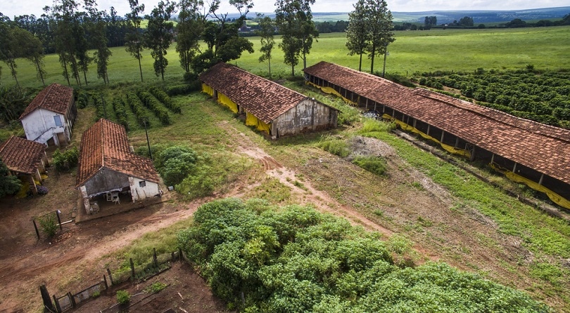 Coffee plantation farm in Brazil