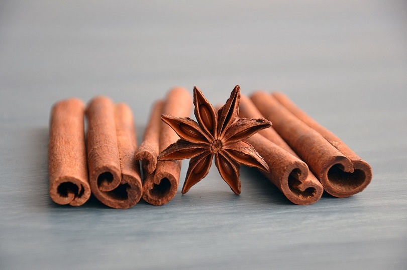cinnamon-spice-pixabay