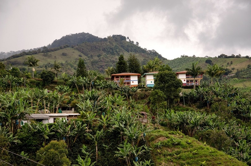 colombia-pixabay