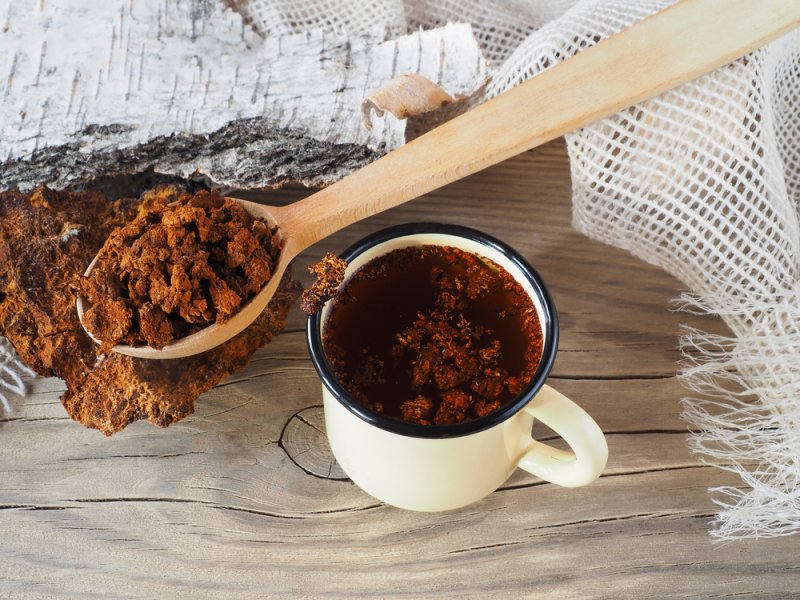 chaga mushroom tea coffee alternative