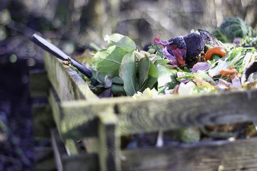 close up compost