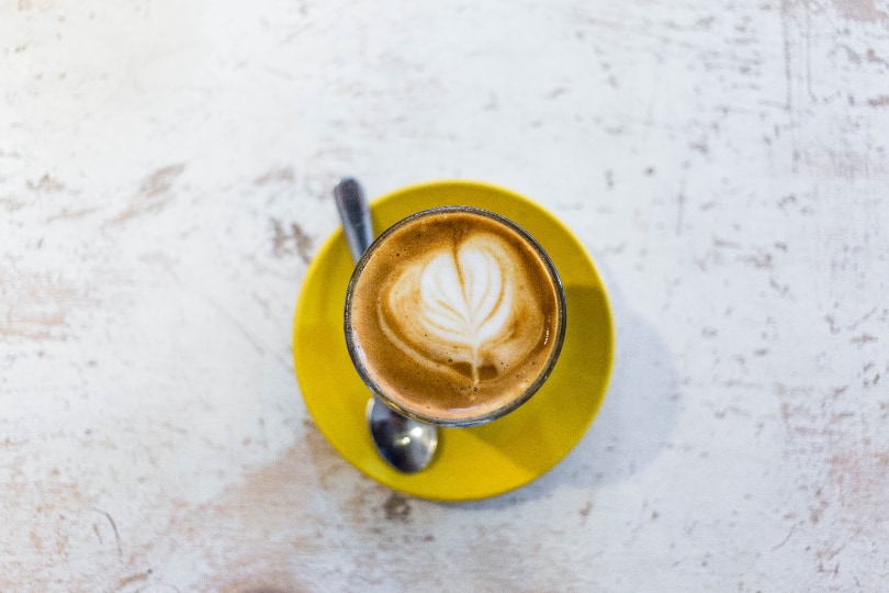 cortado drink