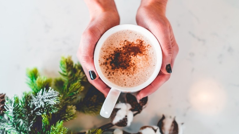 hands holding a cup of coffee