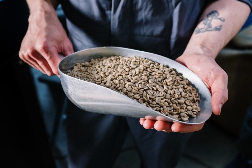 man holding a large scoop of coffee beans